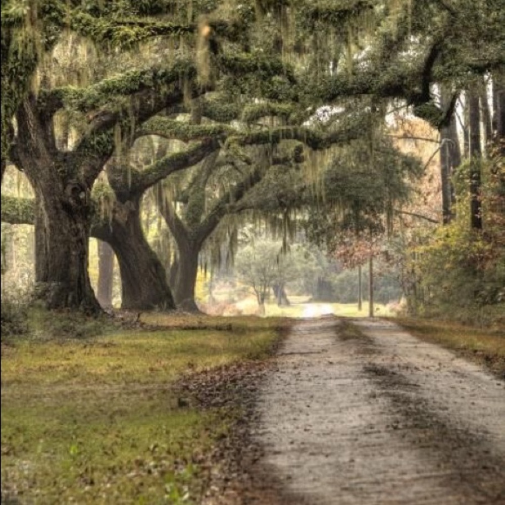 Meet your Posher, Joy